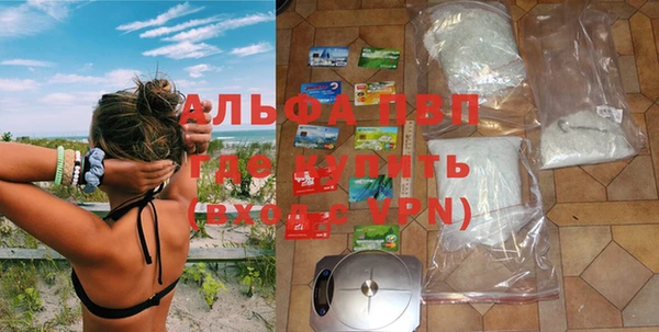 стафф Алексин